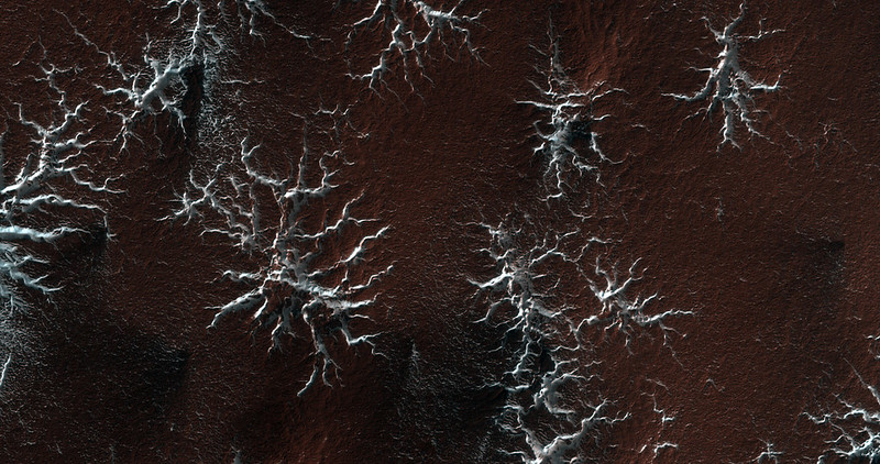 Isolated Araneiform Topography